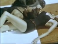 異鄉(xiāng)人