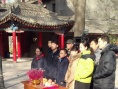 紫香槐下