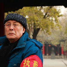 紫香槐下