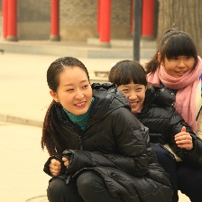 紫香槐下