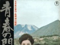 青春之門(mén)