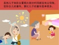 《洛克王国》暑期大数据走红 “00后”PK“80后”