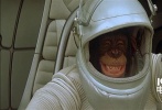 蒂姆·波顿版的《决战猩球》是独立于系列其他作品之外的影片。在一次飞行任务中，航天员里奥（马克·沃尔伯格饰）的猩猩“菲利克斯”驾驶的飞船遭遇了宇宙风暴与太空站失去联系。为了搭救自己的搭档，里奥不顾阻拦独自一人驾驶飞船前往风暴中心。