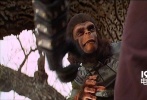 1973年的《决战猩球》和《猩球崛起：黎明之战》有很多相似之处。猿族中发生叛乱，大猩猩们在将军艾多（General Aldo）的带领下和一群发生变异的人类一同意图推翻猿族首领凯撒的领导。凯撒是一个和平主义者，但艾多却非常无视他，并发动了战争。凯撒和艾多在树上进行了决斗，而艾多最后从树上掉下来死掉。