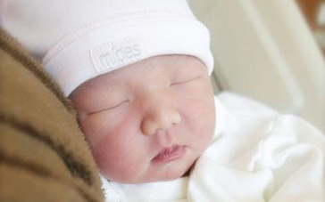 甄子丹小姨子汪圆圆6日产女 “千亿孙女”正式曝光