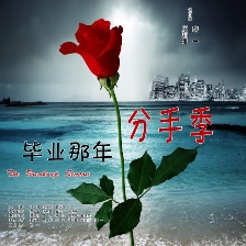 畢業(yè)那年：分手季