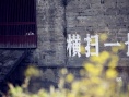 葉京馮小剛新片再攜手《記得少年那首歌》亮相