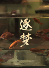 逐夢