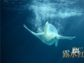 《露水紅顏》曝導(dǎo)演特輯 高希希指導(dǎo)劉亦菲、Rain