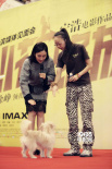 《心花路放》哈爾濱首映 馬蘇帶“果汁”回家.