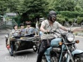 偷狗的完美方法