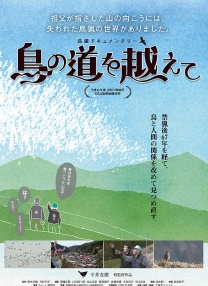 穿過鳥道