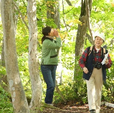 去看瀑布