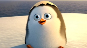 《马达加斯加的企鹅》超长片段 幼年企鹅蠢萌十足