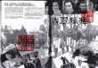 翡翠狐狸