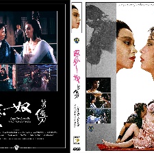 愛奴新傳