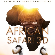 狂野非洲