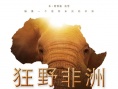 《狂野非洲》定档11.7 刘欢带你身临其境游非洲