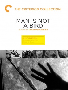 男人不是鸟