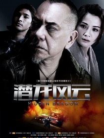 潜龙风云