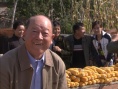 公媳鬧牛