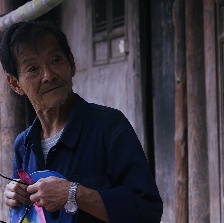 花楸故事