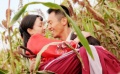 《红高粱》野合戏引热议 周迅很受伤朱亚文很享受