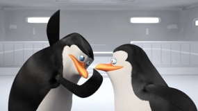 《马达加斯加的企鹅》病毒视频 企鹅老大搞笑掌掴