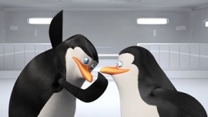 《马达加斯加的企鹅》病毒视频 企鹅老大搞笑掌掴