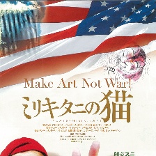 三力谷的貓