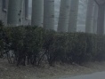 与你无关