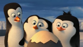 《马达加斯加的企鹅》角色特辑 菜鸟小弟初出茅庐