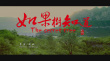 如果樹知道