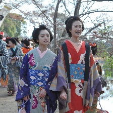 花宵道中