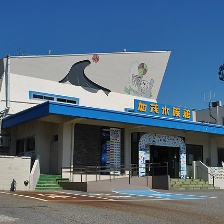 水母和那個女孩