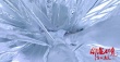 《鐘馗伏魔》發(fā)布制作特輯 李冰冰雪妖造型美艷