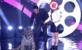 黄晓明挑战高难度 “灰姑娘”舞台摸老虎屁股