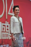 2014國劇盛典紅毯大咖云集 爭奇斗艷星光璀璨