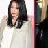10年后你们还好吗？王菲变肥婆 赵又廷上真人秀