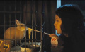 《宝藏猎人久美子》中文预告片 菊地凛子雪地寻宝