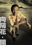 向陽花開