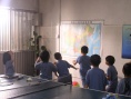 向阳花开