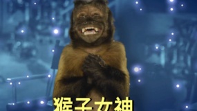 《博物館奇妙夜3》爆笑潑猴特輯 大表哥帶頭吐槽