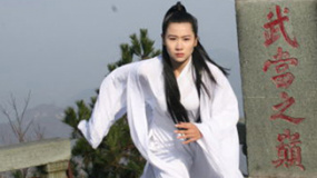功夫世家