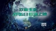《雙魚玉佩》定檔2月6日 香港版預(yù)告驚悚來襲