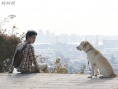 二十歲與一只