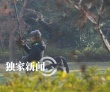 网曝EXO黄子韬客串《何以》 演大学时代黄晓明