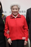 首届微电影春晚2月15日举行 冯小宁出任总导演