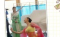 佟麗婭春晚貂蟬造型曝光 舞姿婀娜道具惹爭議