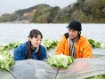 播种旅人